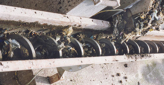 Einzelner Wellen-Schrauben-Bandförderer für städtische Wasserpflanze