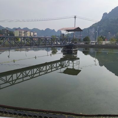 Halbbrücke-Schlamm-Schaber-Ausrüstungs-Zusatz-Antriebs-Kohlenstoffstahl