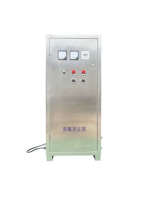 Quell-Ozon-Generator-wassergekühlte Ozon-Ausrüstung industrielles 10g 100g der Luft-304SS
